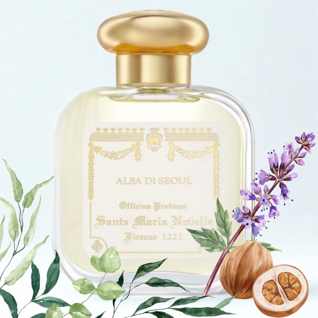 オーデコロン アルバ ディ ソウル 50ml [EDC 韓国 暁 スパイシー フゼアノート 爽やか 朝 香水 フレグランス 香り] 10,210円