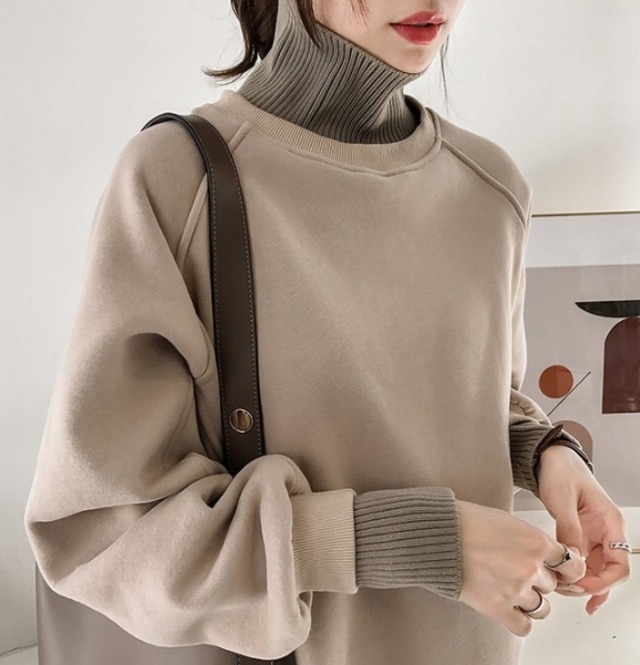 【送料無料】レディース トップス タートルネック プルオーバ ー通勤 長袖 無地 大きいサイズ