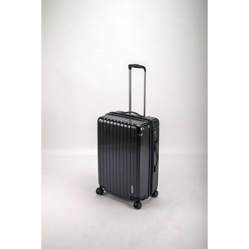 パルティール スーツケース（TSAロック付きWFタイプ）M（ブラッ キャンプ トレッキング バッグ ケース (UV65)