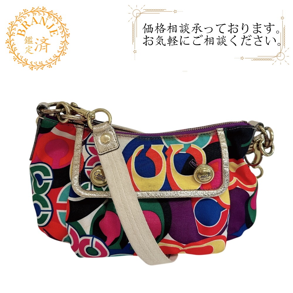 13834 2way ハンドバッグ シグネチャー キャンバス ショルダーバッグ マルチカラー
