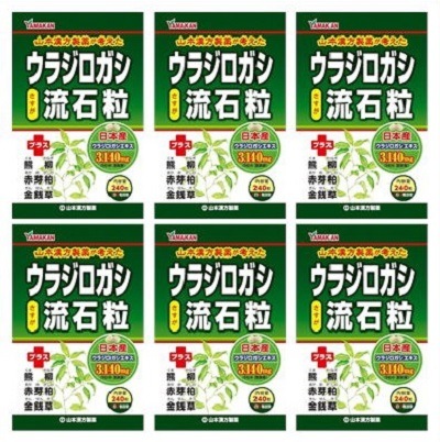 ［まとめ販売］　ウラジロガシ流石粒　240粒入り　６個