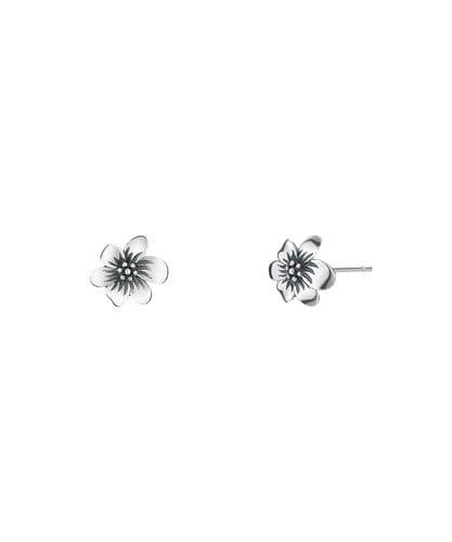 NFF [silver925] corolla earrings black silver コローラピアス ブラックシルバー 韓国アクセ
