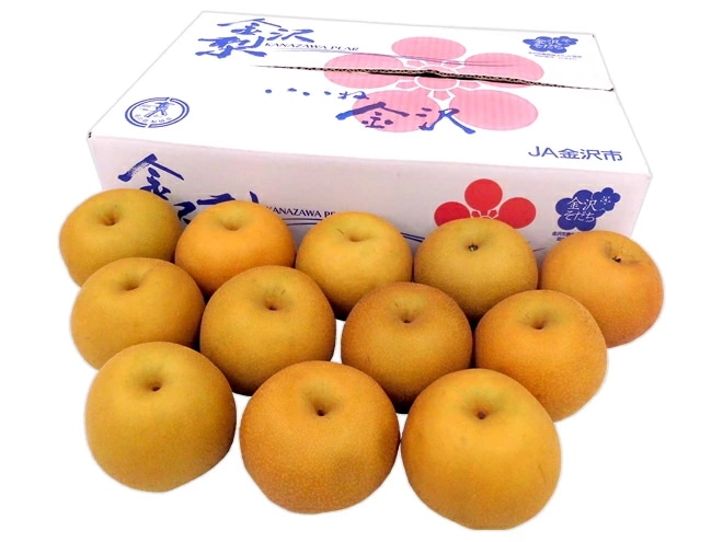 =南水梨= 秀品 10-18玉 約5kg 産地厳選 予約 8月末以降