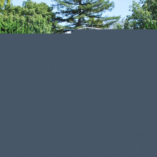 ガーデンアーチ 門 園芸 庭 ゲート アイアン フェンス 鉄 おしゃれ 北欧 花壇 支柱 ガーデニング 白 ホワイト 茶色 ブロンズ 公園 施設 ホテル レストラン 店舗