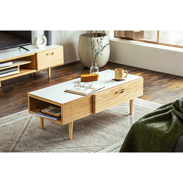 センターテーブル ローボード 幅105cm ナチュラル リーザ CT 収納棚 リビング収納 インテリア家具 収納家具 組立品