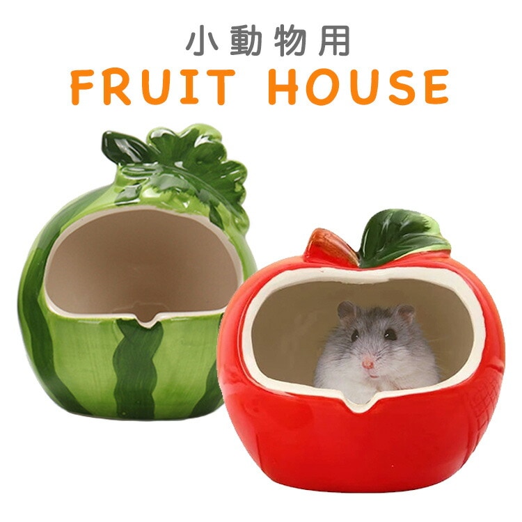 Qoo10] ハムスター ハウス 陶器 ドーナツ セラ