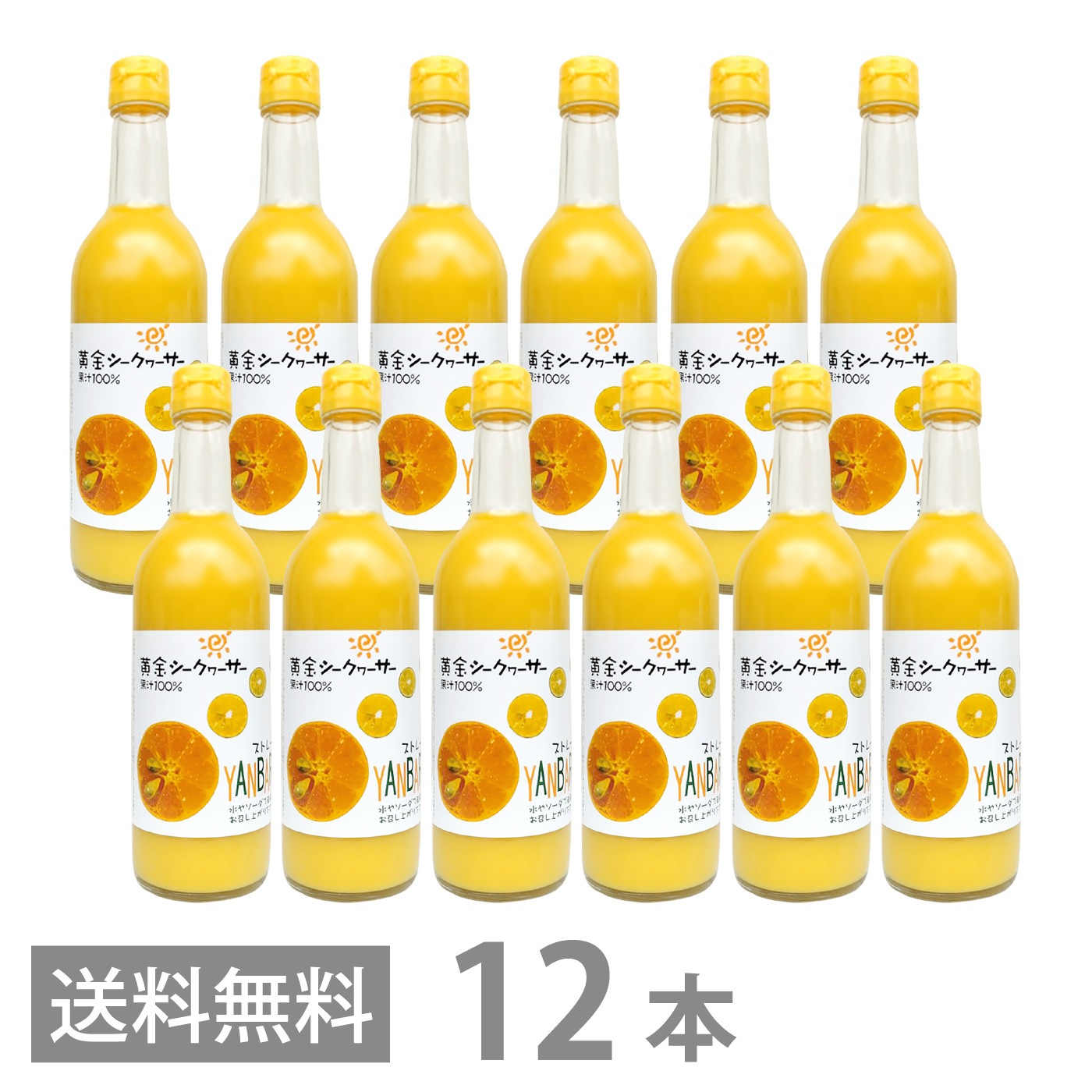 黄金シークワーサー 500ml ×12本セット マイルドタイプ 原液 山原 やんばる 沖縄産 シークヮーサー 果汁100％ ジュース ストレート ノビレチン 琉球フロント