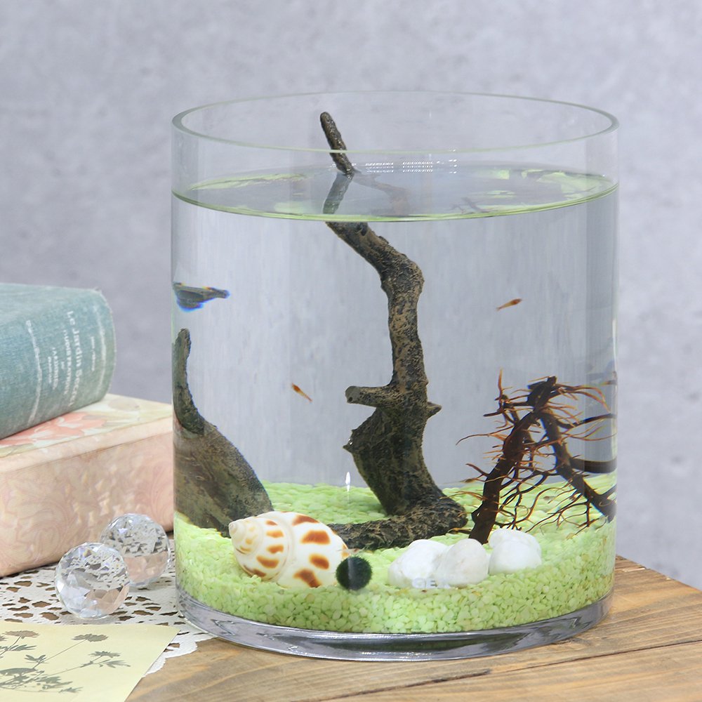 （エビ）ホロホロシリンダーグラス（グリーン）　本州四国限定　ＣＲＣ13―70―29―00―00