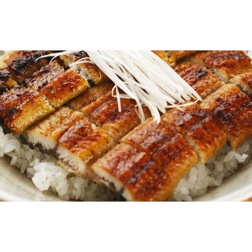 （グルメギフト）静岡 静岡焼きうなぎ 4尾