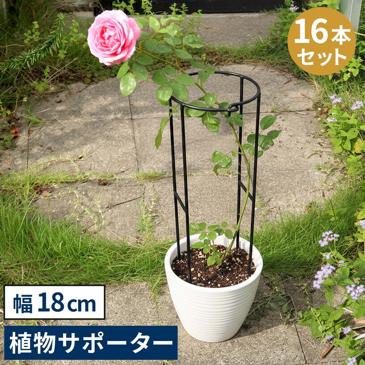 住まいスタイル アイアン製植物サポーター 幅18 16本セット IF-N0050-16P 奥行10 高さ50 ハーフリング 倒れ防止 広がり抑制 スチール 鉄製 支柱 園芸 植物サポート フラワ