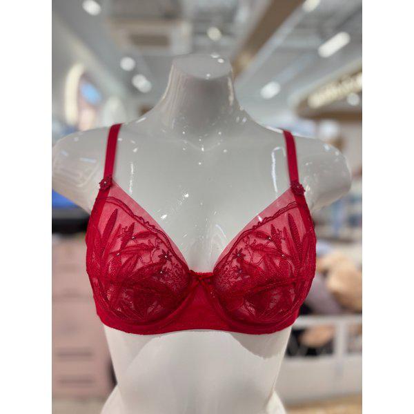 [驪州店] オルファシフォンレース薄手メッシュ大きなカップ胸が小さく見えるブラ[OBR7863B_F] RD