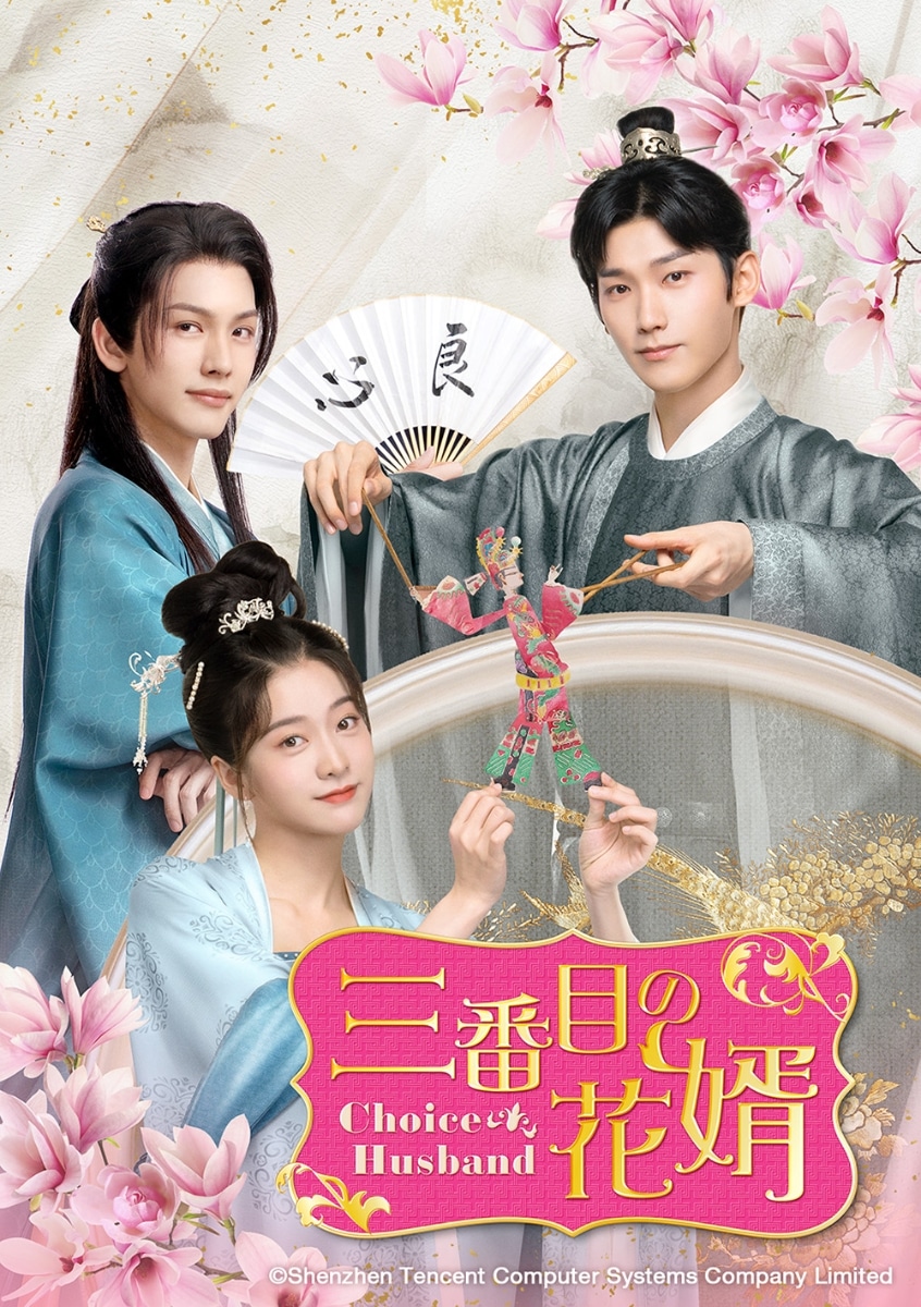 中国ドラマ/三番目の花婿Choice Husband -第1話第10話- (DVD-SET 1) 日本盤