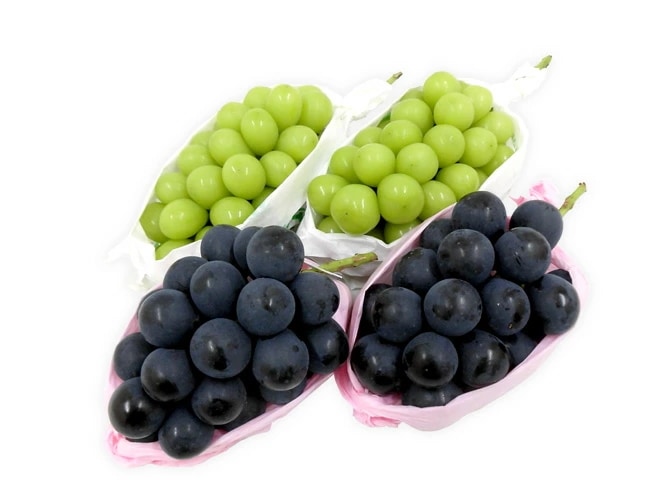 =シャインマスカット＆ナガノパープル= 秀品 合計約2kg 産地厳選 食べ比べ 予約 9月以降 5,599円