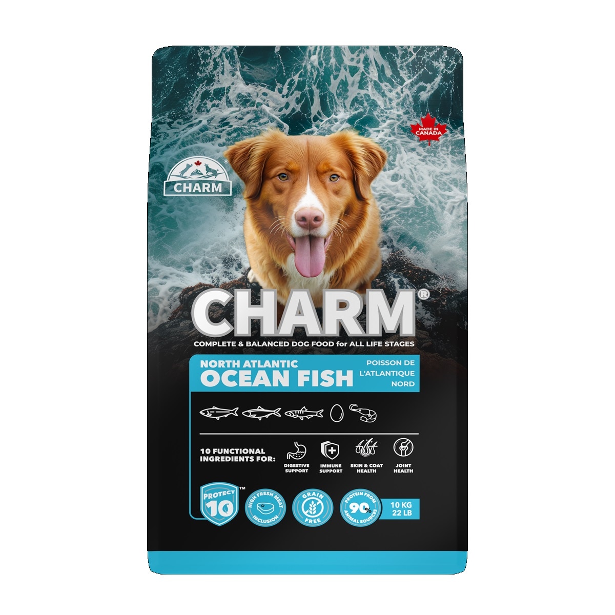 CHARM　チャーム　ノースアトランティックオーシャンフィッシュドッグフード　10kg【ドッグフード】【正規品】