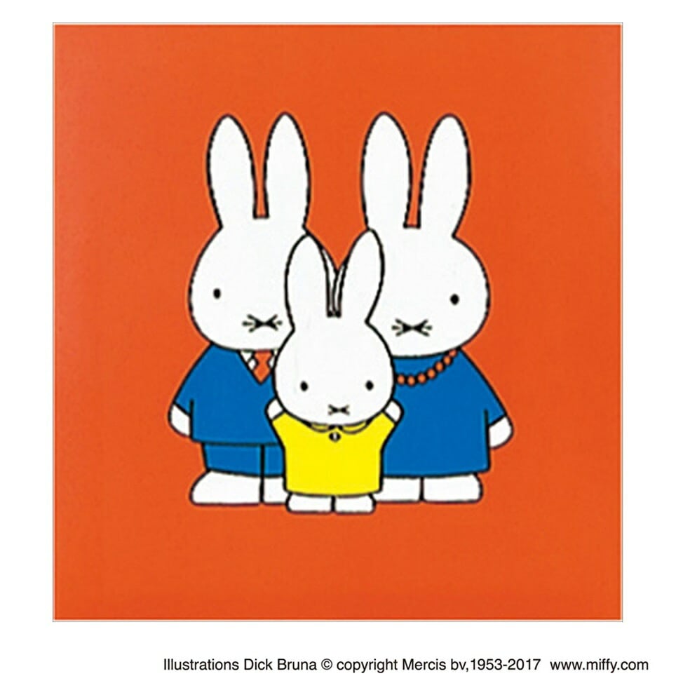 （まとめ買い）フエルアルバム S ゴールドライン台紙 ミッフィー アカ ア-SA-121-1 [x3]