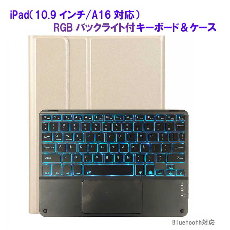 ROYALMONSTER　iPad(10.9インチ/A16対応)キーボード＆ケース GD　RM-2221-109GD