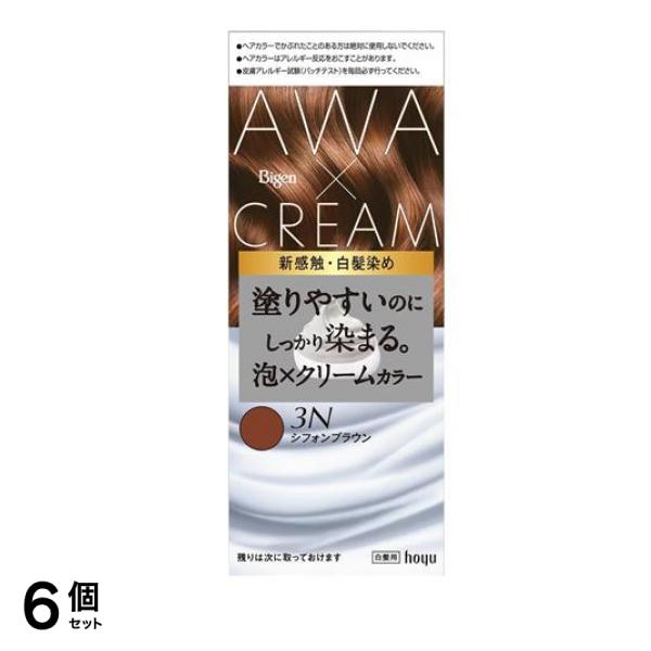 泡クリームカラー 白髪用 3Nシフォンブラウン 1組入 6個セット