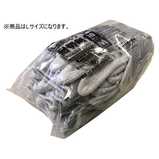 シュレガード パームタイプ L 10双入 川西工業 #2561