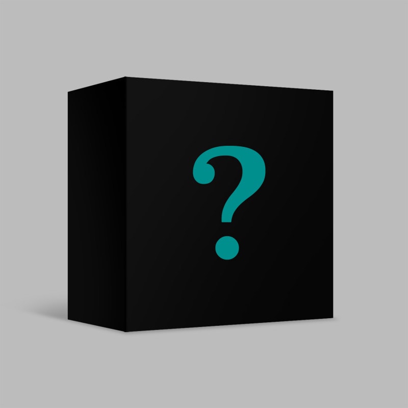 【未開封新品】エスエフナインアルバムSF9ミニ10集 RUMINATION KIT Ver(RSQ001)