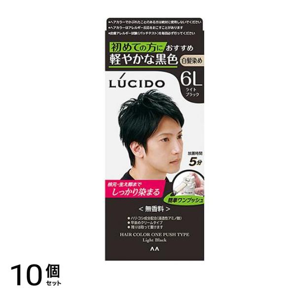 LUCIDO ルシード ワンプッシュケアカラー6L ライトブラック 1個 10個セット
