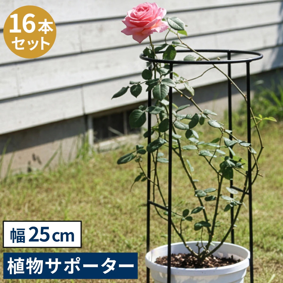 住まいスタイル アイアン製植物サポーター 幅25 16本セット IF-N0049-16P 奥行13 高さ50 ハーフリング 倒れ防止 広がり抑制 スチール 鉄製 支柱 園芸 植物サポート フラワ
