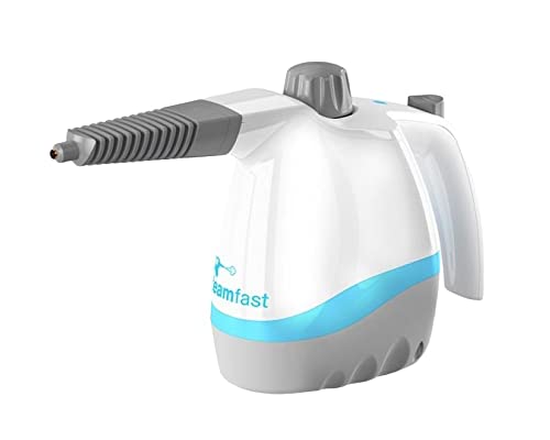 【日本仕様正規品】スチームファーストミニ