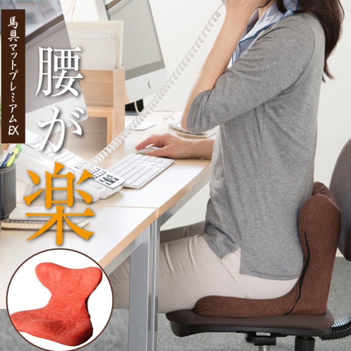 座椅子 椅子 骨盤クッション 猫背 イス 在宅 チェア テレワーク ストレッチ リモート 姿勢 腰痛 クッション オフィス 腰痛対策 骨盤クッション 猫背 腰 クッション 骨盤補整 骨盤矯正 整体