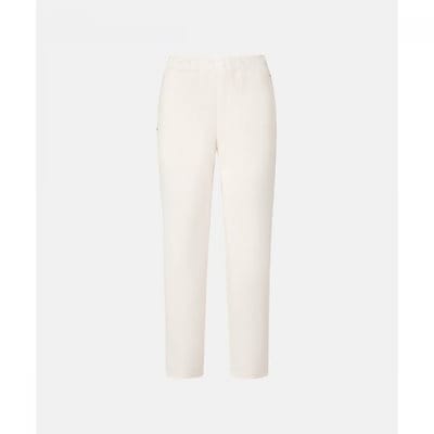 掛け軸 松田香邦 作『 朝顔 』 絹本 希少 軸装 茶道具 掛軸 美品 です