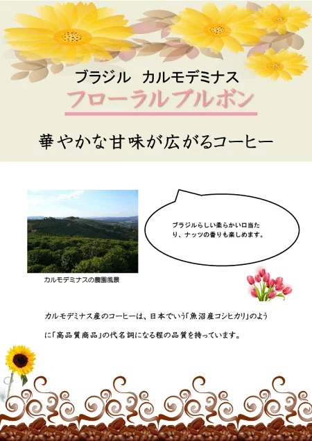 受注焙煎！2kg ブラジル カルモデミナス フローラルブルボン 2021/22クロップ [選べる焙煎度合い] コーヒー豆 大山珈琲 業務用 自家焙煎 卸