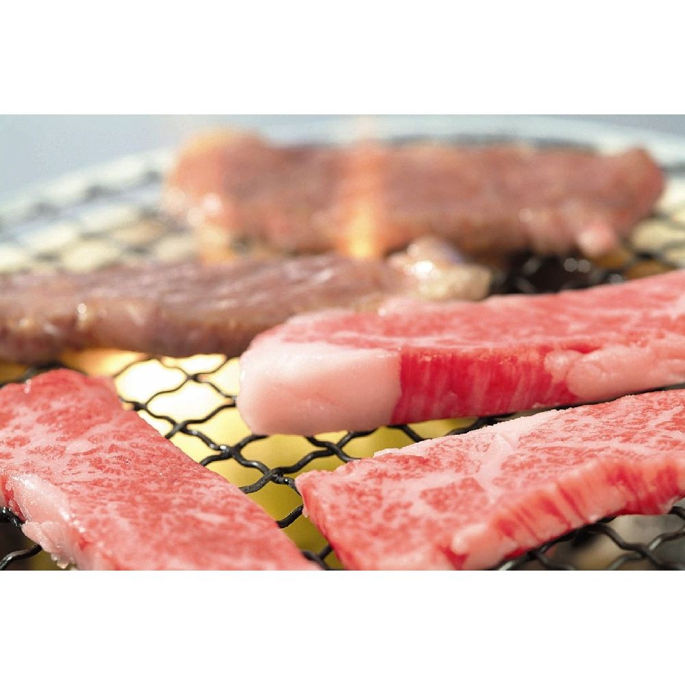 （グルメギフト）三重 霜ふり本舗 松阪牛 網焼/焼肉用 500g（肩ロースモモバラ）