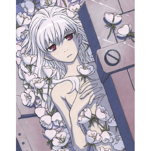 DARKER THAN BLACK-流星の双子-4(Blu-ray Disc) (Blu-ray) ANSX-9484