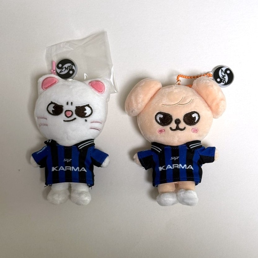 Stray Kids The 4th Album Karma SKZOO Ver. Official Photocard Keyring 公式