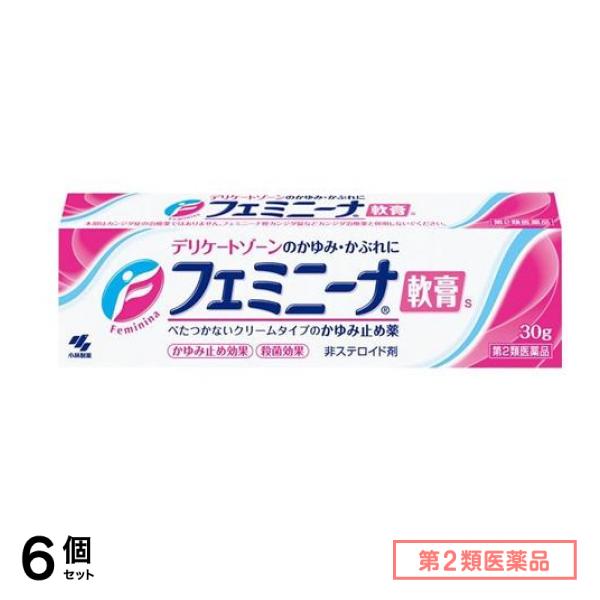 第２類医薬品 フェミニーナ軟膏S 30g 6個セット