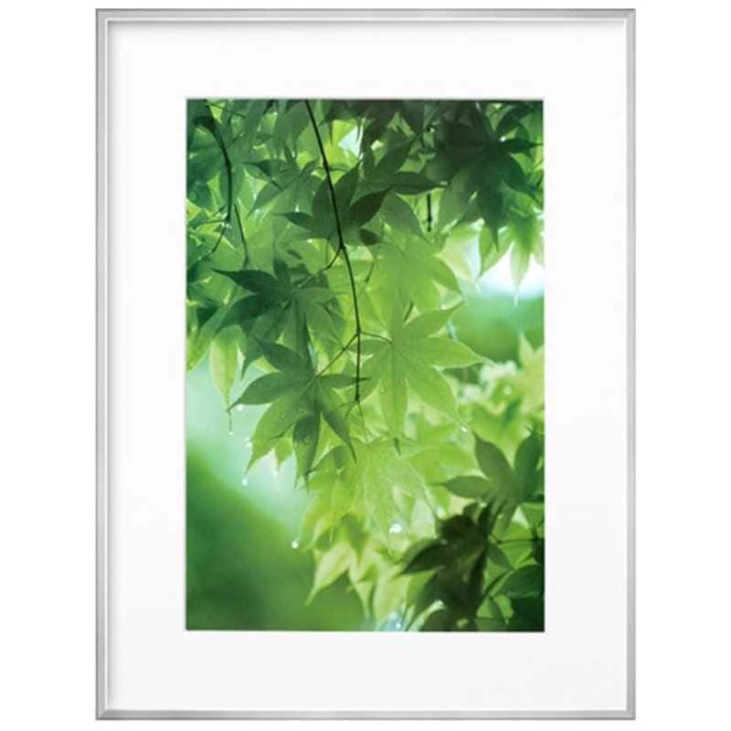 ハクバ　ZEROフレーム G-01 A3ノビ シルバー　FZG01A3NSV