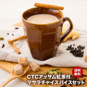 【 レシピ付】【10杯分】チャイ スパイス CTCアッサム紅茶 セット マサラチャイ チャック袋入 お試し お試しセット シナモン クローブ カルダモン ブラックペッパー ジンジャー クラフト