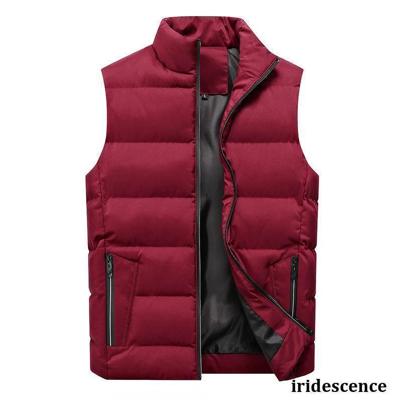 ダウンベストメンズ 中綿ベスト 軽量 ダウンベスト防寒 無地 ダウンおしゃれ アウター ジップアップ ベスト 秋冬 暖かい カジュアル 大きいサイズ