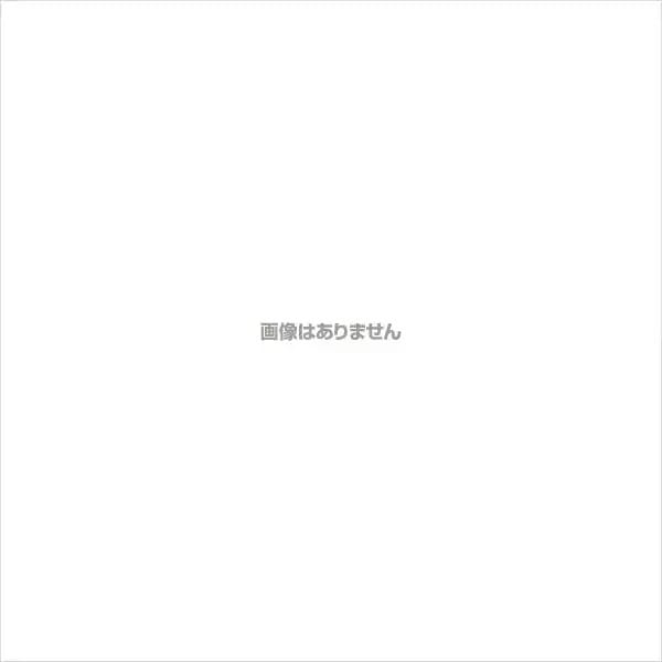 KINUJO 海外兼用ストレートアイロン キヌージョワールド 絹女 DS100(1台)