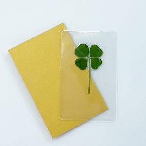 韓国 フードクローバー四つ葉クローバーコーティングカード透明ゴールデン封筒1枚