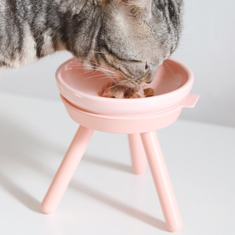 Oreo chu オレオチュ 犬 猫 食器 食卓 7色 キャット