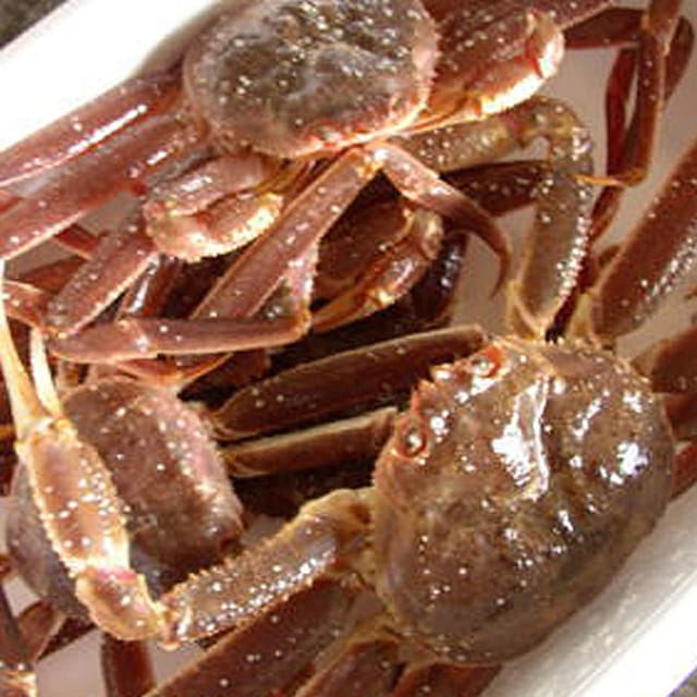 訳あり 活オオズワイガニ 小サイズ 6kg詰 身入り7割前後 11,396円