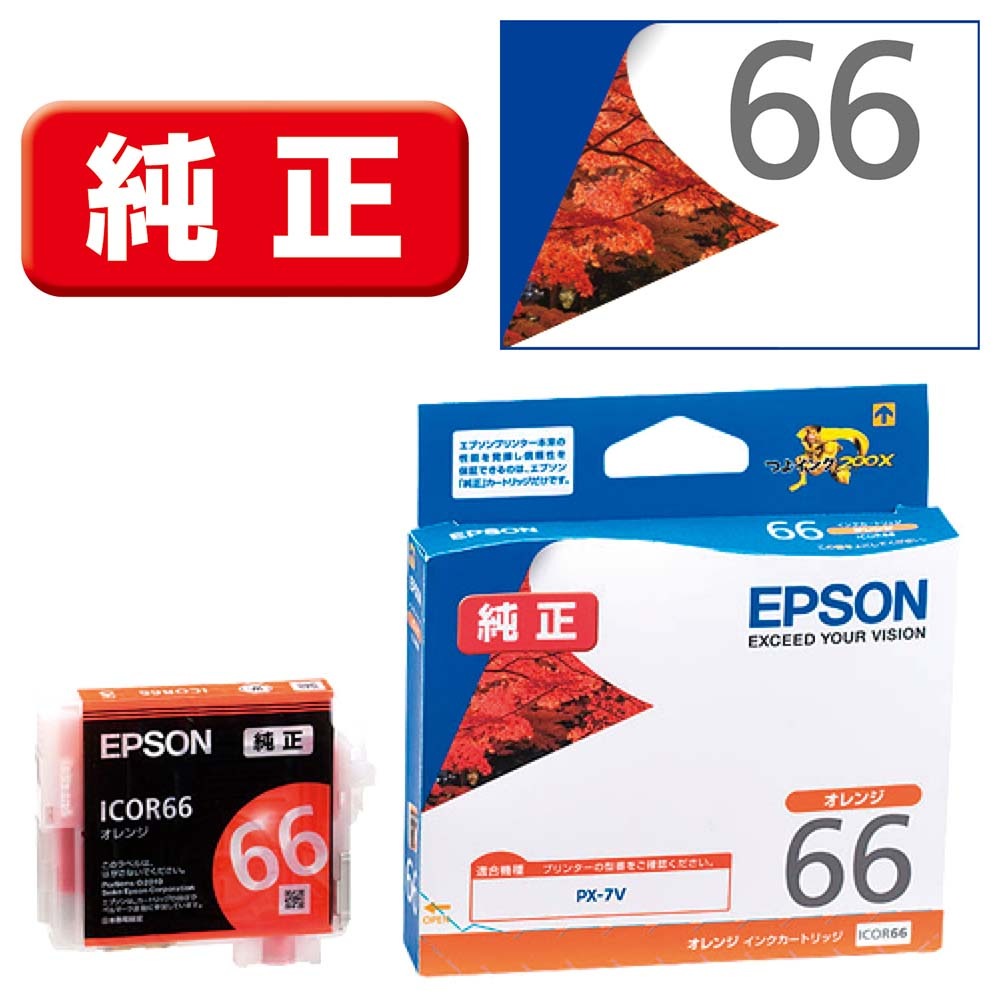ICOR66 [�I�����W]