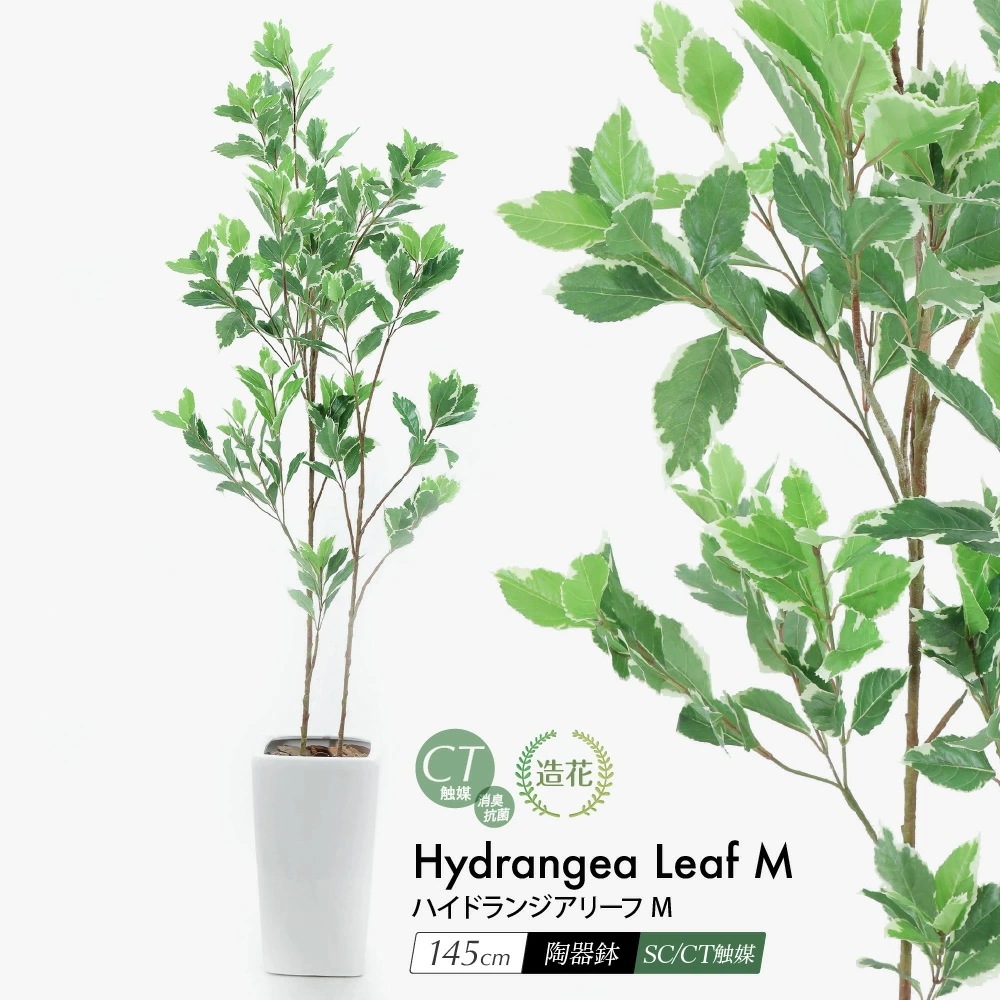フェイクグリーン ハイドランジアリーフM 145cm 鉢植 陶器鉢 CT触媒