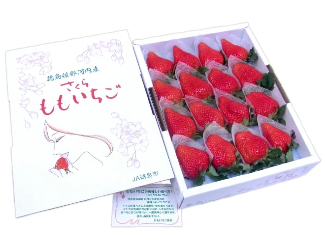 徳島県佐那河内産 =さくらももいちご= 特大16粒 化粧箱 予約 12月以降