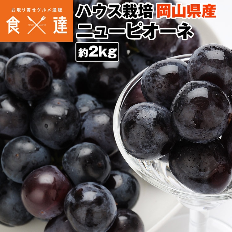 ピオーネ ニューピオーネ 約2kg 4-5房 青秀以上 種なし ぶどう 岡山県産 ブドウ 葡萄 冷蔵便 同梱不可 指定日不可