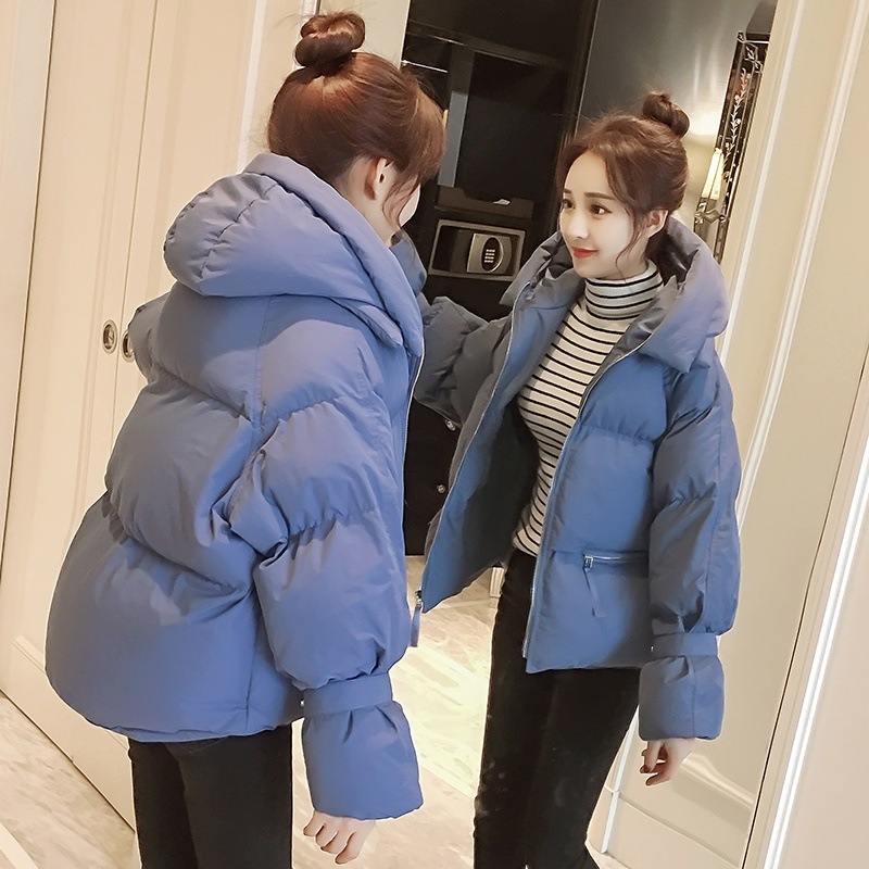 リアル ショート丈 フード付き くすみカラー ダウンコート ダウンジャケット スモーキーカラー 秋冬 シンプル 大人可愛い その他 アウター サイズ 2xl Build Standishsmiles Com