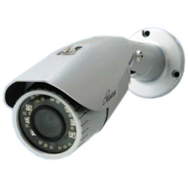 コロナ電業　【屋外用】防犯カメラ テルスター(AHD200万画素オートフォーカス&ズーム赤外線) 　TR-H220VZ