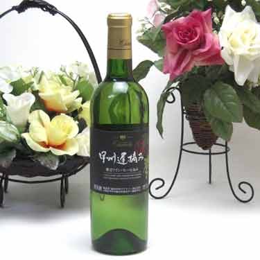 6本セット 勝沼ワインバレー仕込み 甲州遅摘み完熟甘口 白ワイン 720ml6本(山梨県)