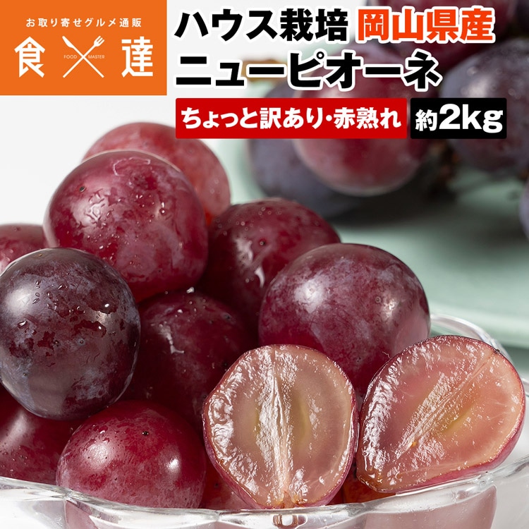 ピオーネ ニューピオーネ 訳あり お得 約2kg 4-5房 赤熟れ 優品 種なし ぶどう 岡山県産 ブドウ 葡萄 冷蔵便 同梱不可 指定日不可