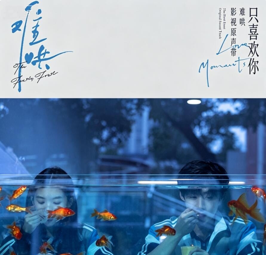 Qoo10] 14曲 『難哄』 中国ドラマ OST/C