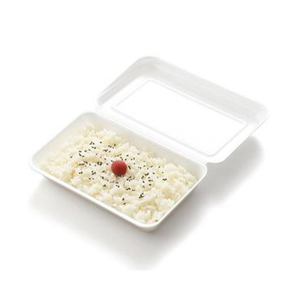 （まとめ）リスパック 発泡嵌合パック 大RLBE099 1パック（50枚）(×20セット)